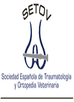 LOGO DEFINITIVO